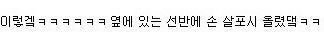 사람같은 강아지.jpg