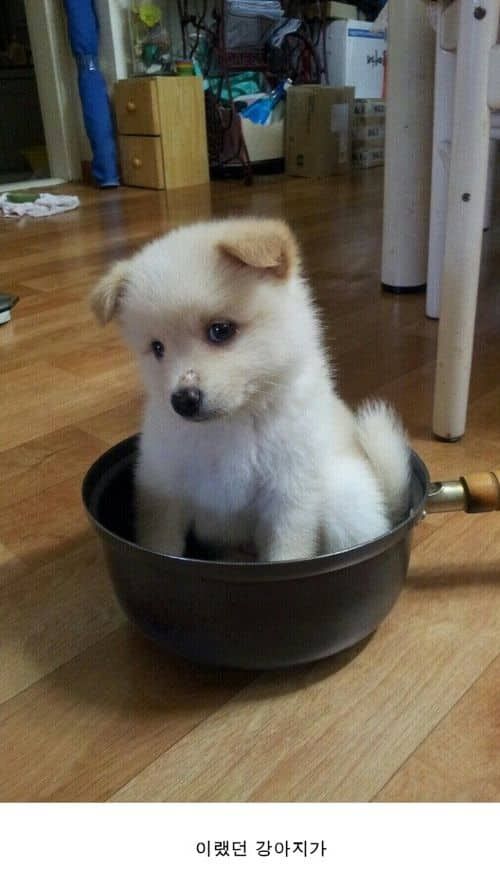 군대 제대하고 집에 왔는데.