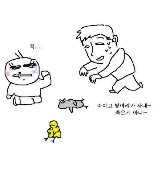 하교길에 병아리 사온 조카.jpg