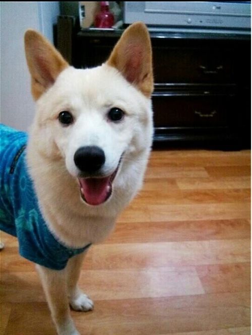 군대 제대하고 집에 왔는데.