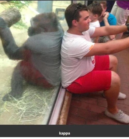 한국의 제목학원.jpg