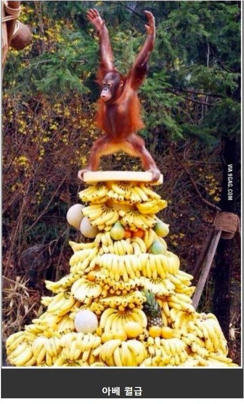 한국의 제목학원.jpg