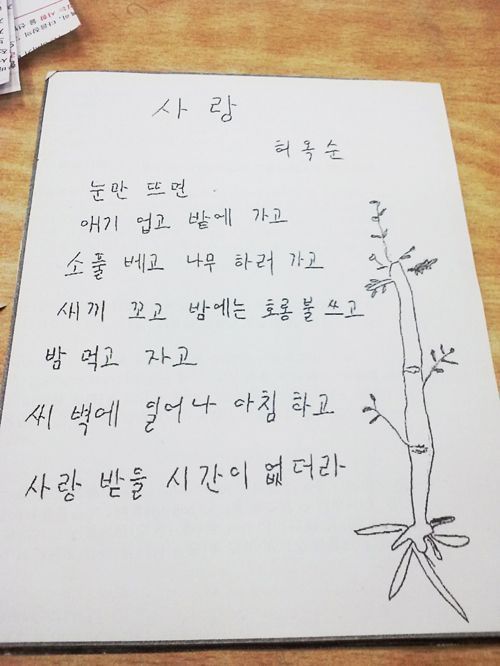 한글을 이제 막 배우신 할머니들의 시.jpg