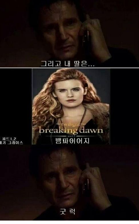 테이큰 재구성.jpg