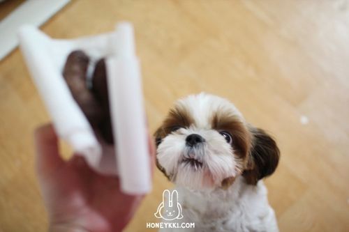 똥먹는데 과자얘기 하지마라.jpg