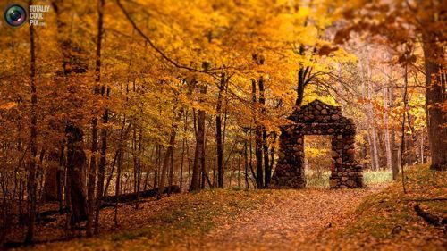 환상적인 풍경.jpg