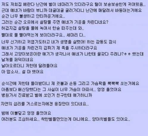 꿀벌에게 상처받음..jpg