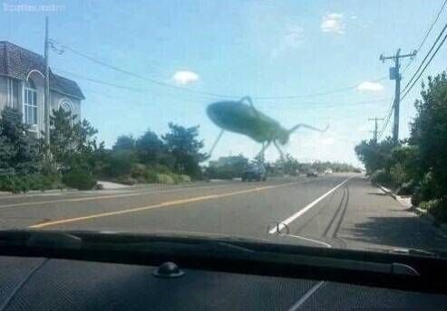 [CG아님] 지구침략..jpg