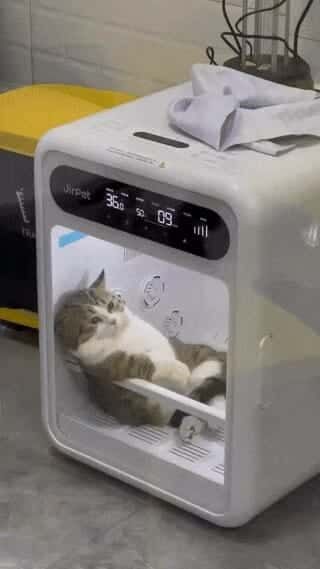 신뢰도 높은 고양이 드라이룸 리뷰