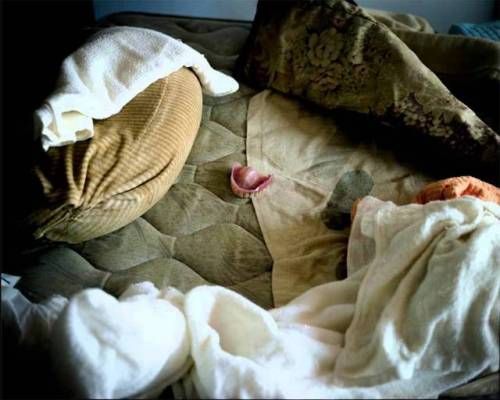 고독사한 일본 노인의 방.jpg