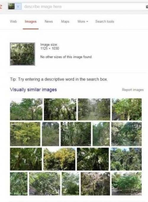 김한장이 불러온 나비효과 총버젼