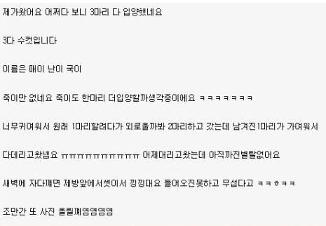 전설의 삼둥이.jpg