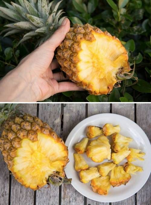 혁명적인 과일.jpg