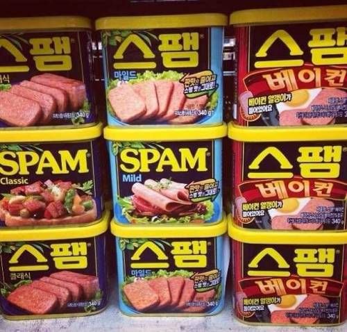 오늘은 스팸.jpg