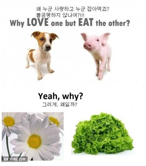 왜 한쪽은 사랑하고 한쪽은 잡아먹죠?