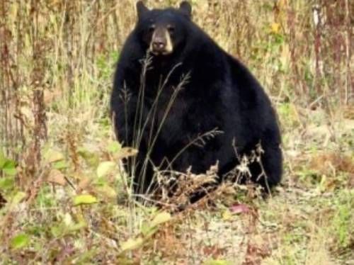 설 연휴 끝난 후 우리들의 모습