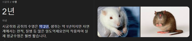 영화 라따뚜이가 베드엔딩인 이유.jpg