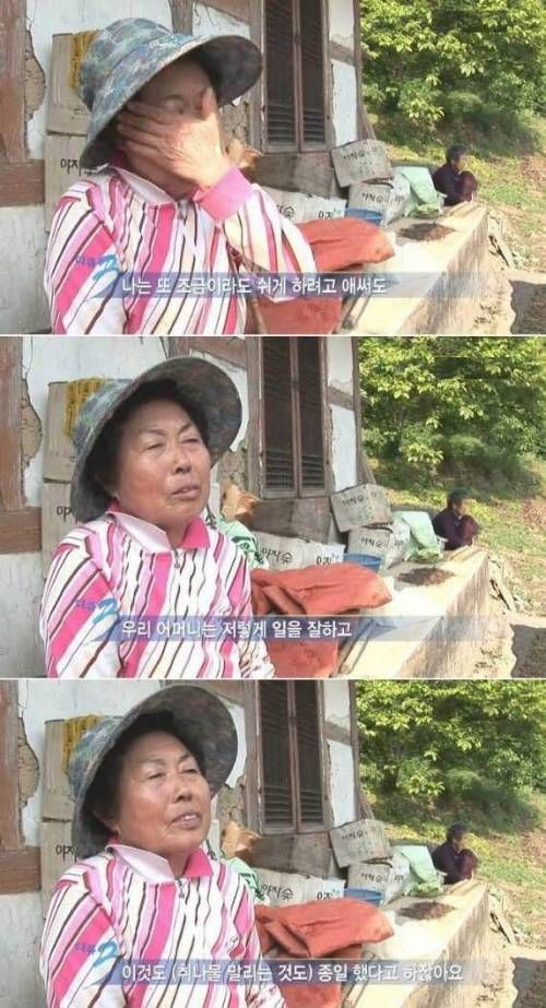 어머니의 사랑.jpg