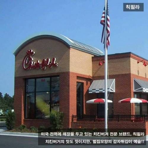 미국의 5대 햄버거.jpg