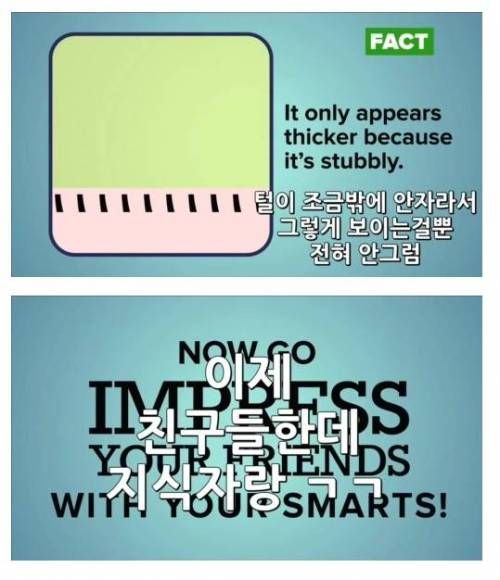 많이들 잘못알고 있는 상식들