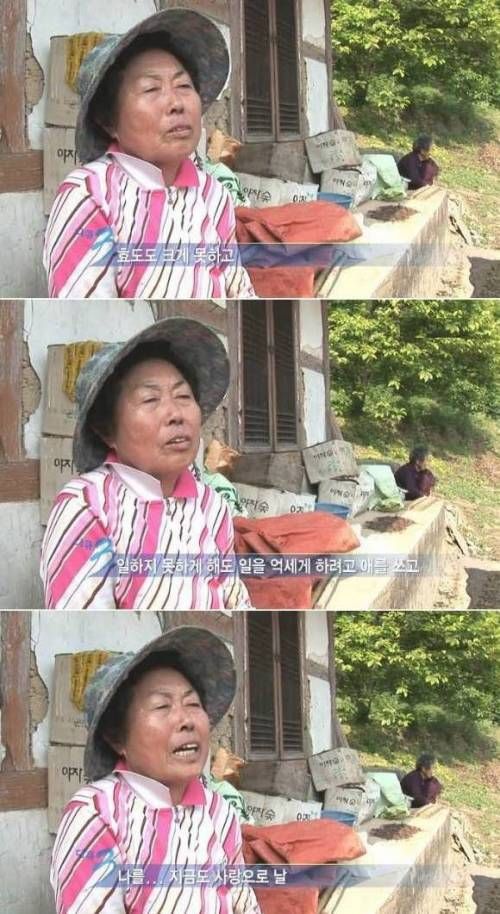 어머니의 사랑.jpg