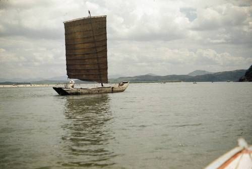 미국 사진작가가 찍은 1956년 한국의 모습.jpg
