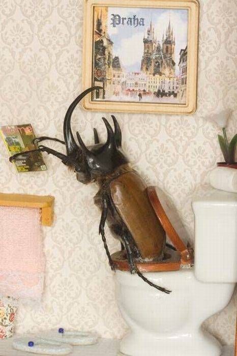 [징그럼주의]곤충예술