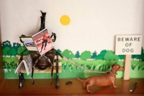 [징그럼주의]곤충예술