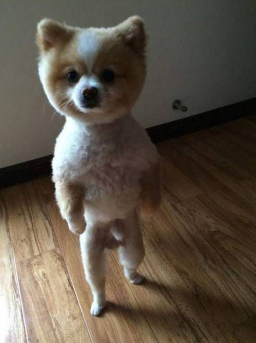 넘치는 자신감.jpg