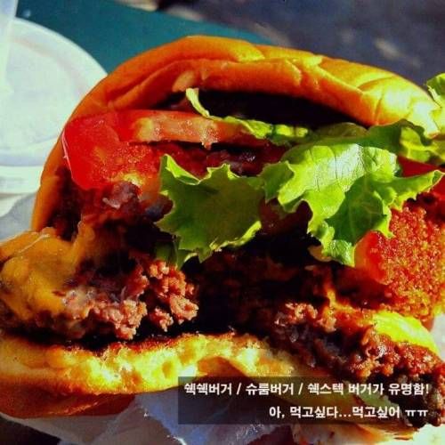 미국의 5대 햄버거.jpg