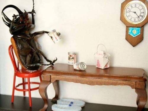 [징그럼주의]곤충예술