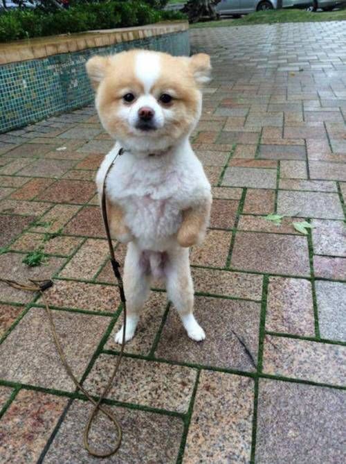 넘치는 자신감.jpg