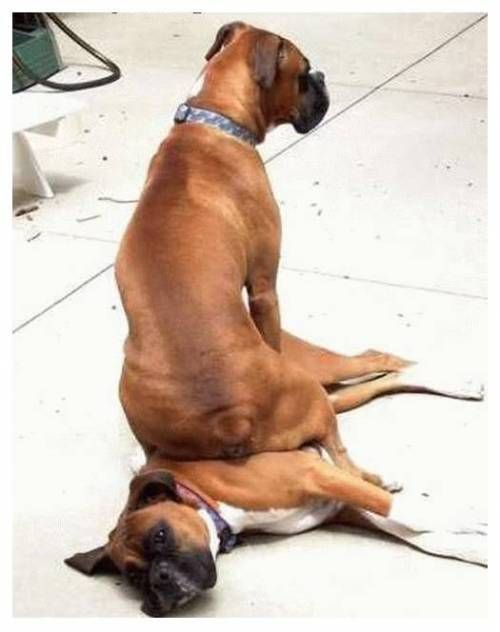 같은 포즈 다른 느낌