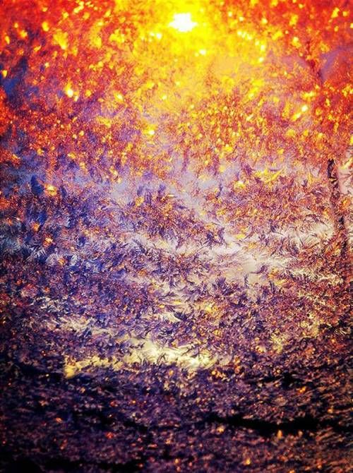 자동차 서리.jpg