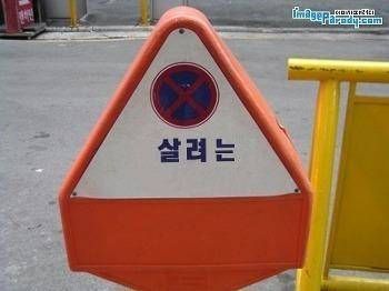 살려는 드릴게...