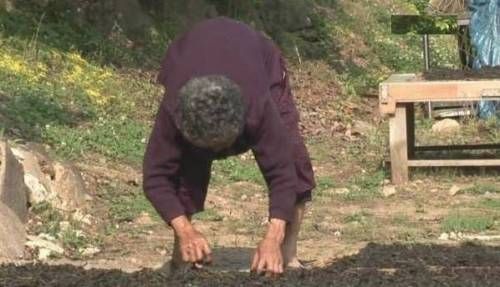 어머니의 사랑.jpg