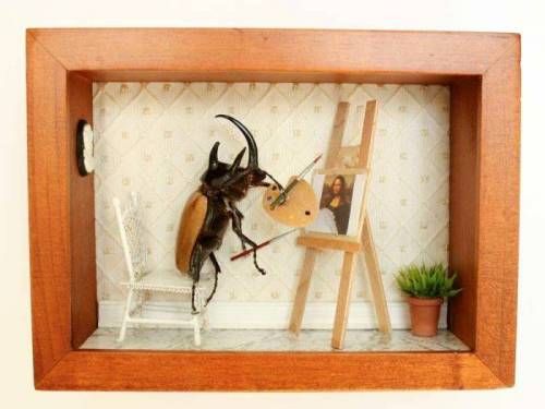 [징그럼주의]곤충예술