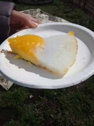 계란은 비교도 안되는 타조알 요리들