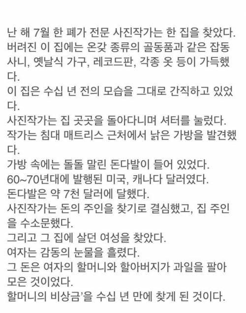 뜻밖의 할머니의 비상금 발견.. 감동