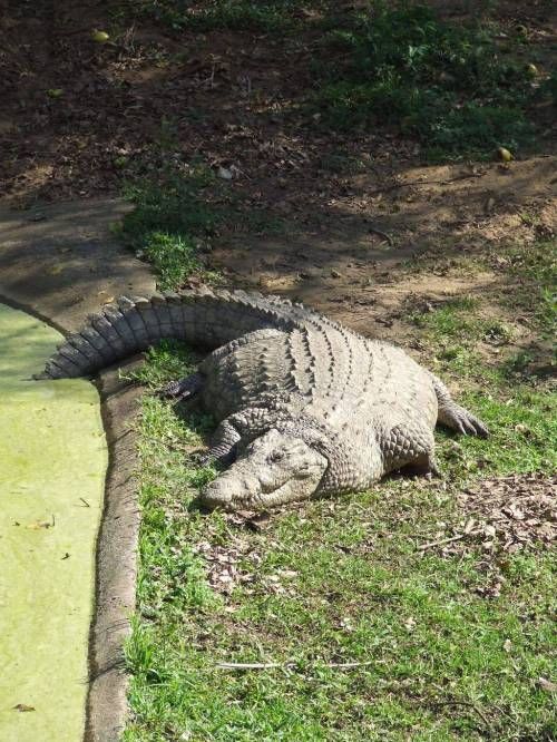 뚱뚱해도 괜찮아.jpg