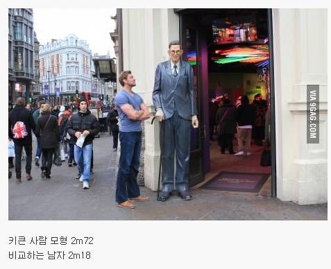 인류 역사상 가장 키가 컸던 사람