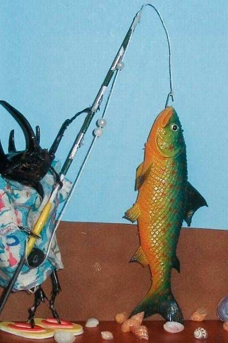 [징그럼주의]곤충예술