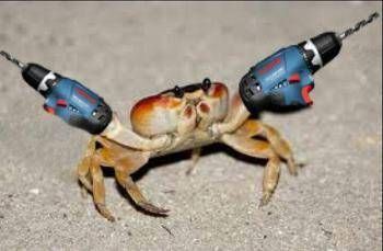 살려는 드릴게...