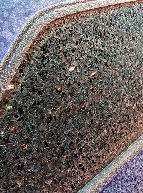 자동차 서리.jpg