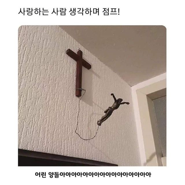 48ac6a8013c6864cc4baa443db768ecc_371863.jpg