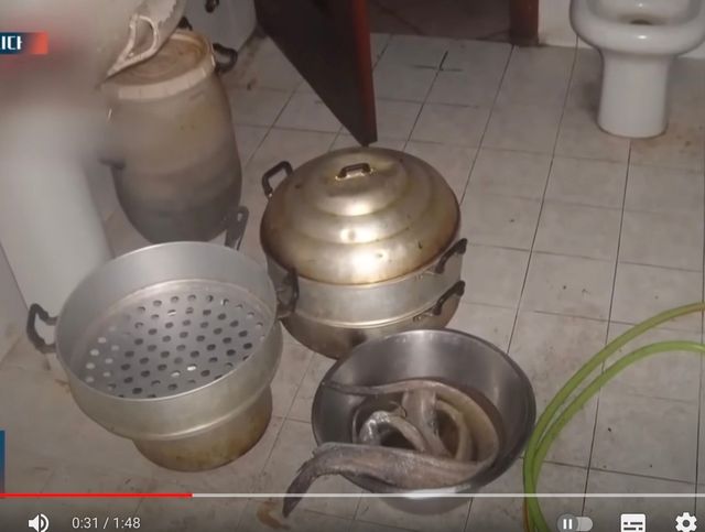 SCR 2024-04-14 um 13.42.58.jpeg