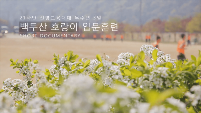 국방부 - ROK Ministry of National Defense - [국방부] 입소 후 첫 훈련! 21사단 무수면 3일 백두산 호랑이 입문훈련 [eRtrY6aoz0w - 949x534 - 0m27s].png