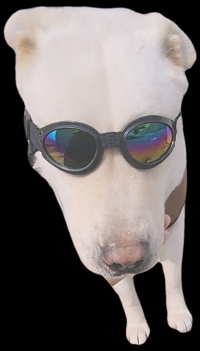 카우 썸네일용.png.jpg