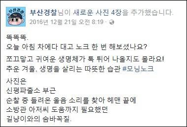오늘 아침 차에다 대고 노크 한 번 해보셨나요?