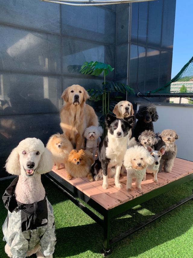 왜 우리애만 웃고있노